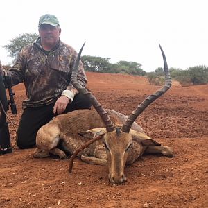 Impala Hunt South Africa