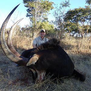 Zambia Hunt Sable Antelope