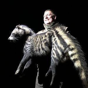 African Civet Hunt Zimbabwe