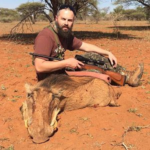 Hunting Female Warthog in South Africa