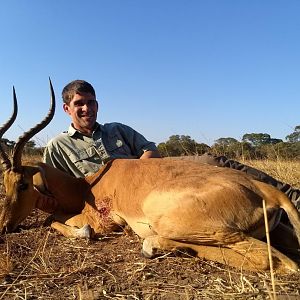 Impala Hunt Zambia