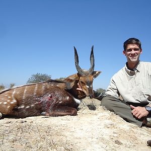 Chobe Bushbuck Hunting Zambia