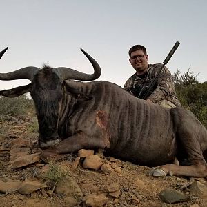 Blue Wildebeest Hunt South Africa