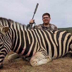 Burchell's Plain Zebra Hunting South Africa