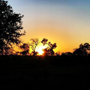 Golden hour Mozambique