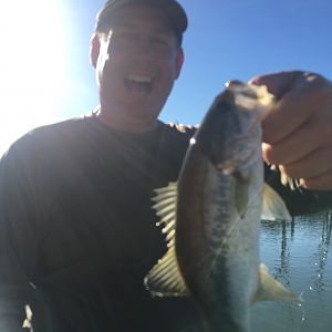 Fishing Bass in Zimbabwe