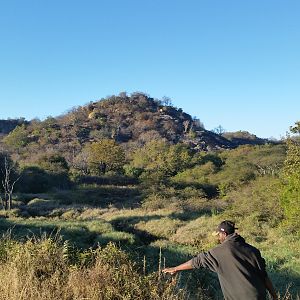 Hunting Bushbuck Zimbabwe