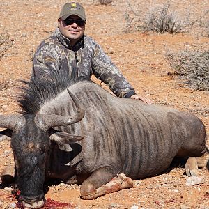 Blue Wildebeest Hunt South Africa