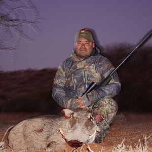 Warthog Hunt South Africa