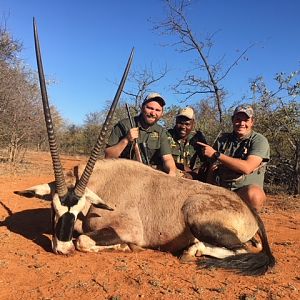 Hunt Gemsbok in South Africa