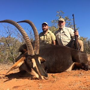 Hunting Sable Antelope in South Africa