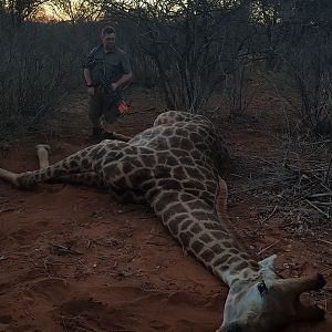 Bow Hunting Giraffe in South Africa