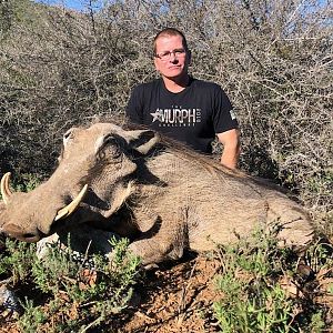 Warthog Hunt South Africa