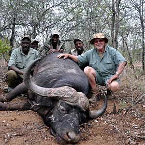 Zimbabwe Hunting Cape Buffalo