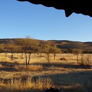 Hunting Area Namibia