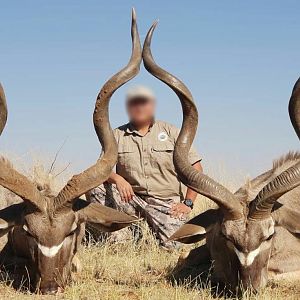 Kudu Hunting South Africa