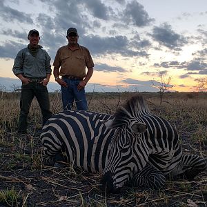 Tanzania Hunting Burchell's Plain Zebra