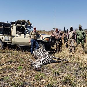 Hunt Burchell's Plain Zebra in Tanzania