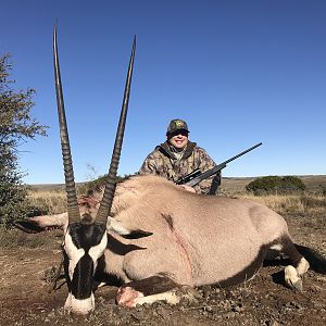 Gemsbok