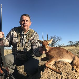 Steenbok