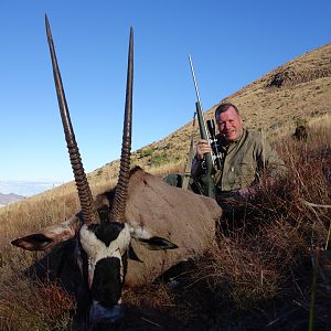 Gemsbok