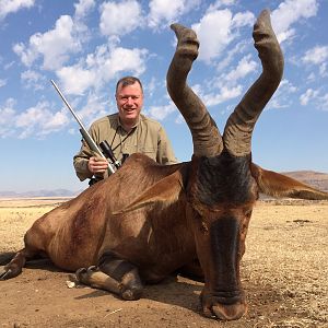 Red Hartebeest