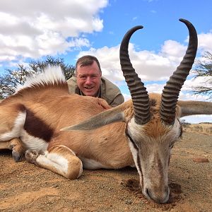 Common Springbok