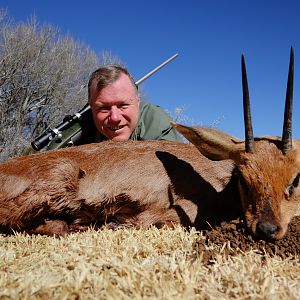 Steenbok