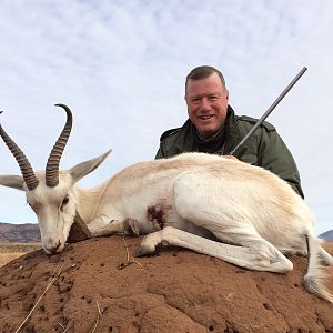 White Springbok