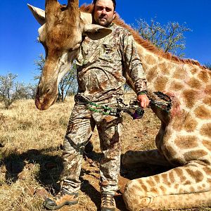 Giraffe Bow Hunt South Africa