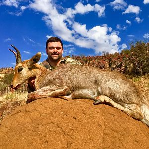 Mountain Reedbuck Bow Hunting South Africa