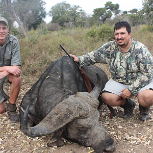 Hunting Buffalo in Mozambique