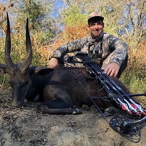 South Africa Bow Hunting Bushbuck