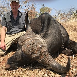 Buffalo Hunting Zimbabwe