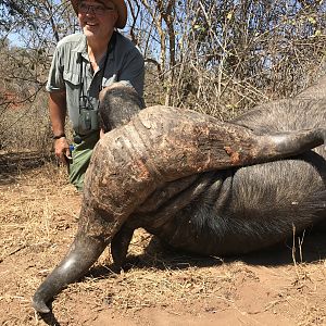 Zimbabwe Hunt Cape Buffalo