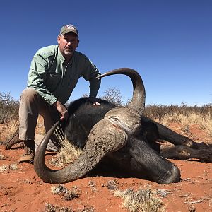 Hunt Cape Buffalo in South Africa