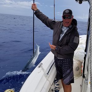 Barracuda Fishing