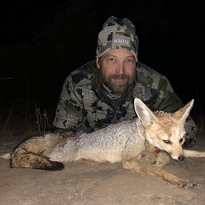 Jackal Hunt South Africa