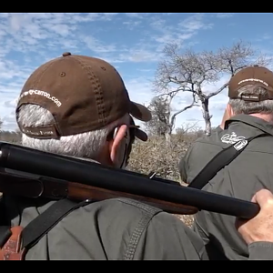 Hunting Elephant with Verney-Carron Double Rifle