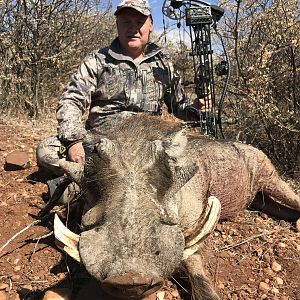 Warthog Bow Hunt Namibia