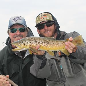 Fishing Blackfoot River Brown Trout in Western Montana