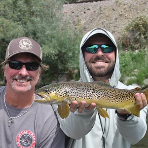 Missouri River Brown Fishing Western Montana