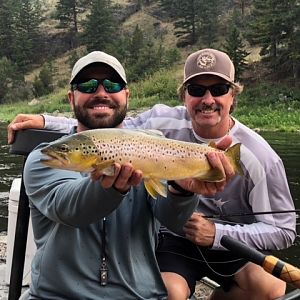 Western Montana Fishing Missouri River Brown Trout