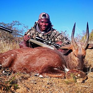 Hunt Bushbuck in South Africa