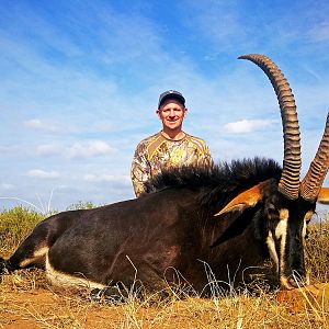 Hunting Sable Antelope in South Africa