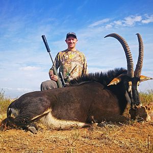 Hunting Sable in South Africa