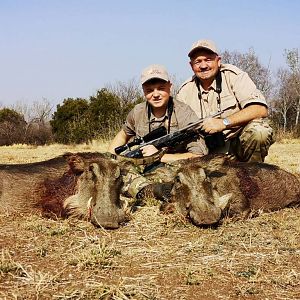 South Africa Cull Hunt Warthog