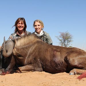 South Africa Hunt Black Wildebeest