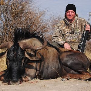 Hunt Blue Wildebeest in South Africa