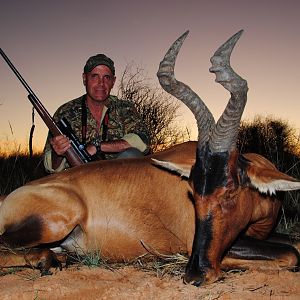 Red Hartebeest Hunt South Africa